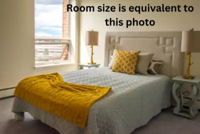 Looking for a female roommate in a convenient location near grocery stores, restaurants, and Algonqu...