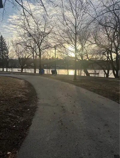 Magnifique 4 ½ à louer – À 1 min de marche du parc Aimé-Léonard