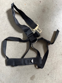Dog car seatbelt  harness - medium