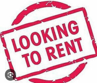 Looking to rent in Kingston 