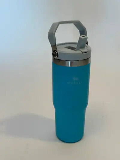 With built in spout (i.e. no straw)
