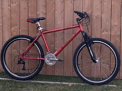 Renegade Mountainbike, View more