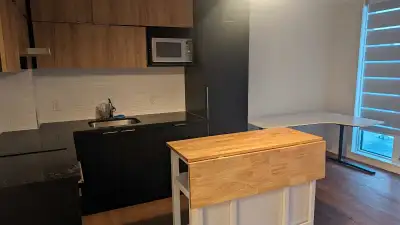 Condo - Markham-Unionville