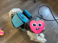 Thinkpet reflective dog backpack