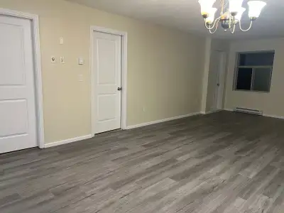 1 BDR + Den Apartment. Newer Building. Mission BC