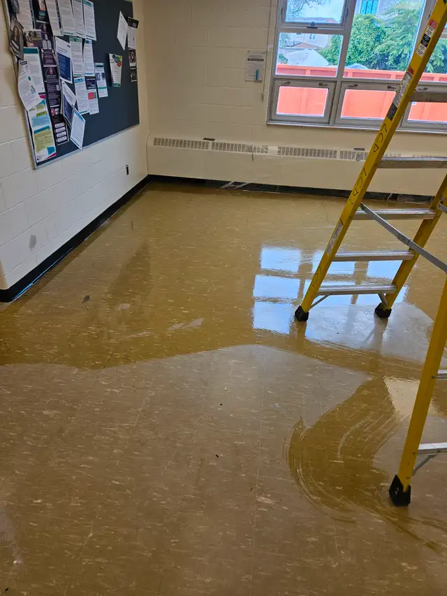 Commercial Cleaning63735896195203120