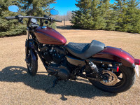 2019 XL1200NS Sportster Iron Twisted Cherry