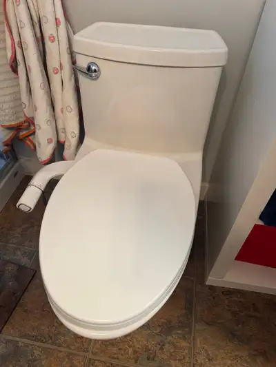 Toilet with Bidet attachment, View more