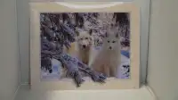 Wolf Holographic Picture