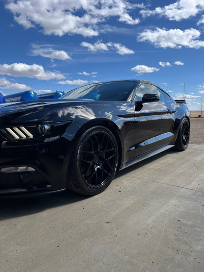 2016 Mustang GT PP