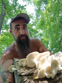 Mushroom Logs!
