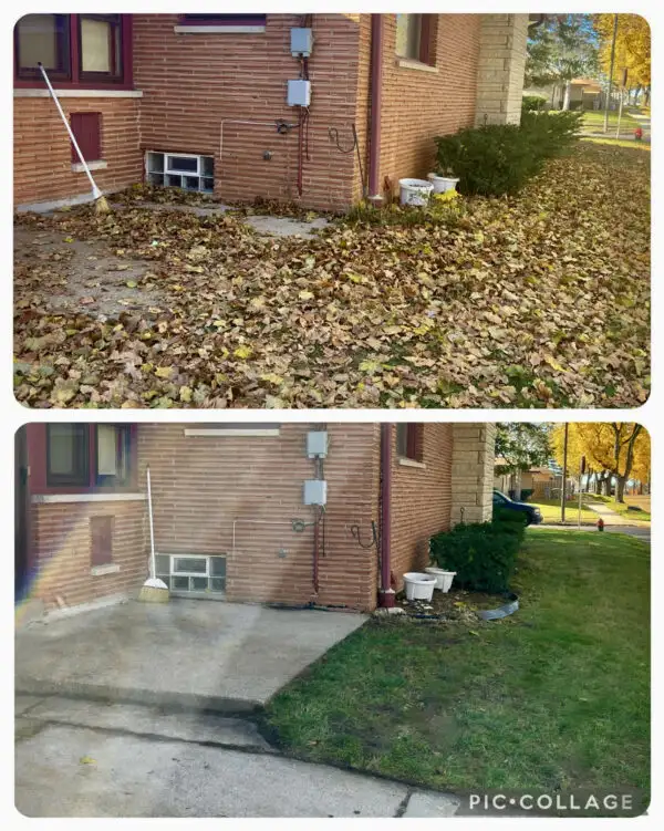  Fall Cleanup – Downtown Toronto (Flat Rates) 63694109264899124