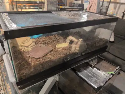 Terrarium, View more