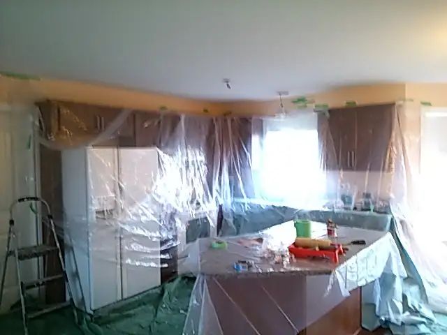 LOOKING FOR A PAINTER YOU CAN TRUST ?582838694530273282