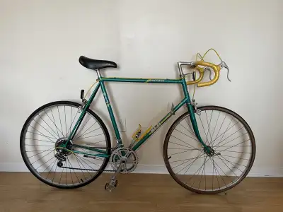 Vélo de route NIJI 10 vitesses, View more