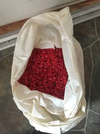 roche style aquarium, View more