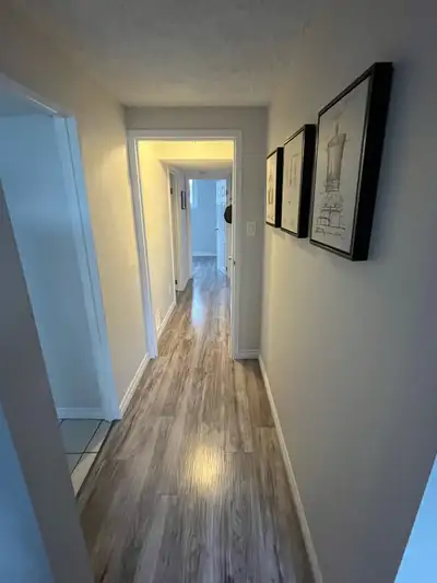 Bright & Spacious 2-Bedroom Lower Level Duplex Unit — Available Now Unit Features: -2 bedrooms with...
