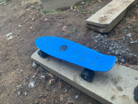 Skate board