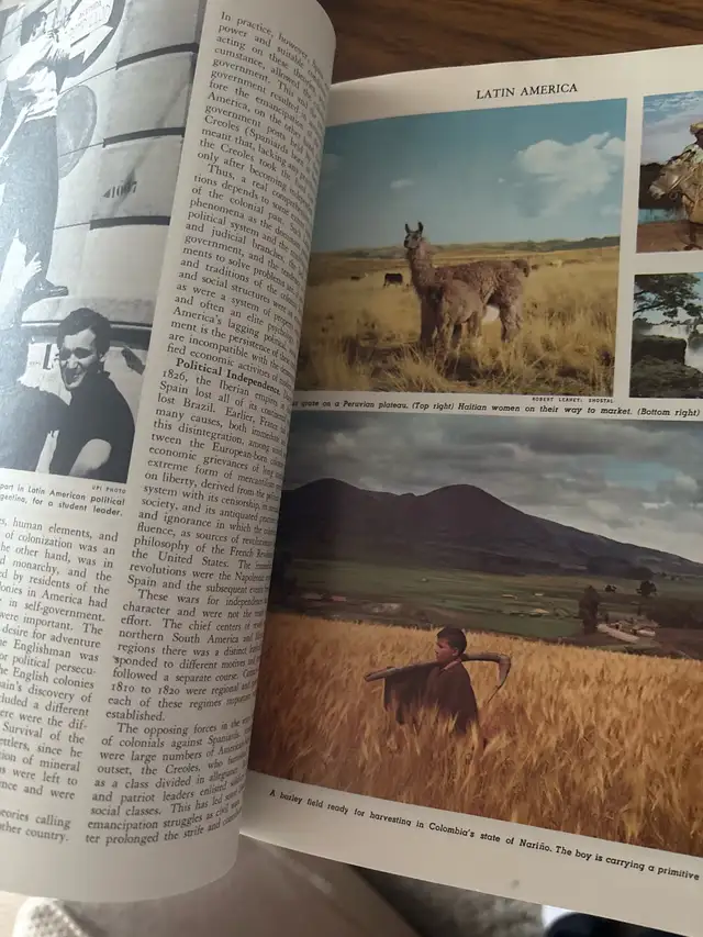 colliers encyclopedia 64578937471618124