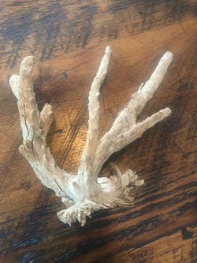 SCULPTURAL BLEACHED NATURAL DRIFTWOOD, View more
