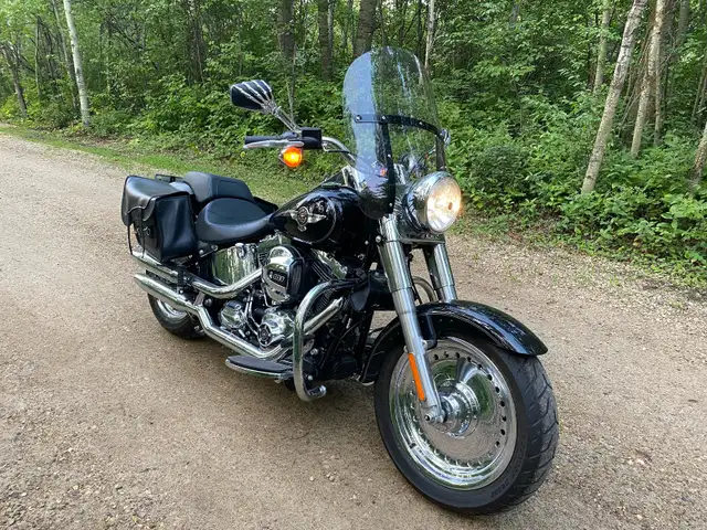 2016 Harley Davidson FATBOY in Street, Cruisers & Choppers in Edmonton - Image 5