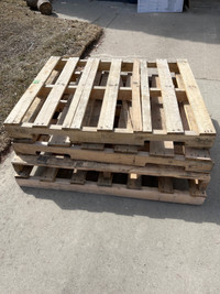Free wood pallets - pick up only.