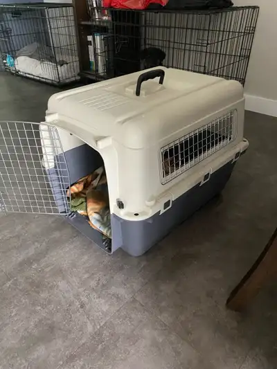 Smal to medium dog travel crate, View more