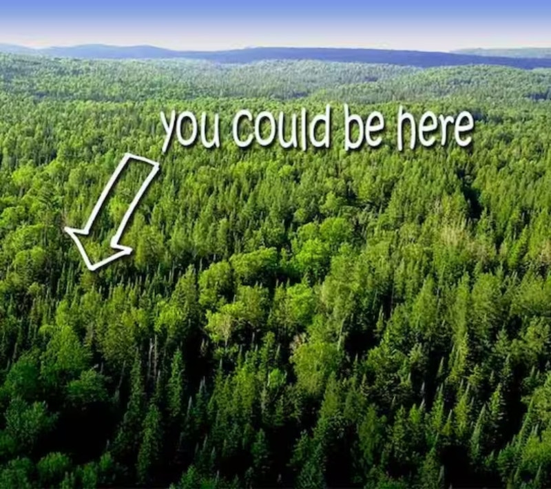 Off Grid Cabin in the Woods near Algonquin Park Houses for Sale