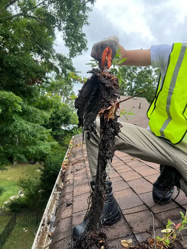 160$ GUTTER CLEAN SPECIAL!!65592243947651122