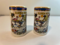 Vintage Florida Salt & Pepper Shakers Collectible SET of 2