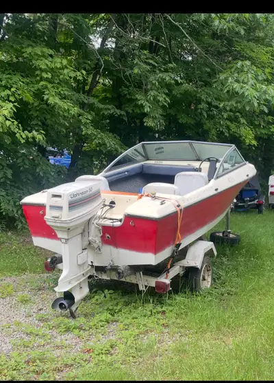 Bateau , 50hp Johnson ( roule bien ) plus remorque . Besoin de banc ou les recouvrir