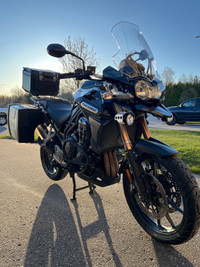 2013 Triumph Tiger Explorer 1200