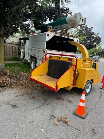 tree removal/wood chipping, View more