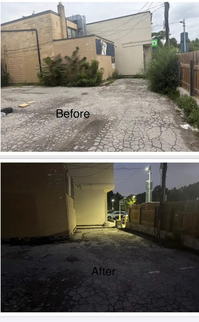 Leaf Raking, Weed removal,  Tree Cut,Mulch, & Tree cut services in Lawn, Tree Maintenance & Eavestrough in City of Toronto - Image 7