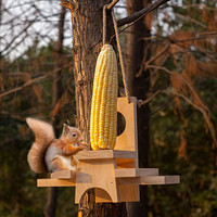Squirrel Bird feeder, Condiments holder