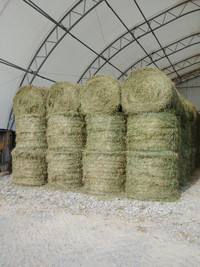 2nd crop hay for sale