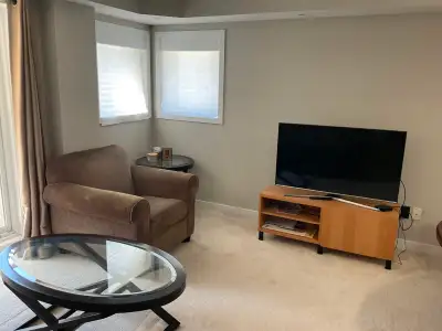 Furnished room for rent in a 2 bedroom apartment in Avalon orleans in a clean and quiet home. All ut...