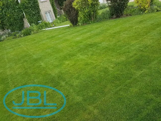 Lawn Service - Weed Control - Tree Trimming - 529-5554 in Lawn, Tree Maintenance & Eavestrough in Medicine Hat - Image 3