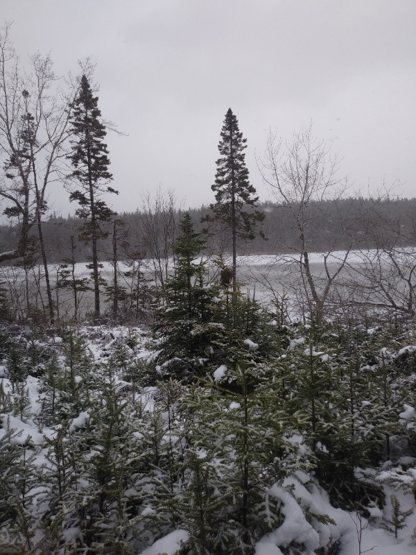 Lakefront land on Loch Lomond Cape Breton Land for Sale Cape Breton