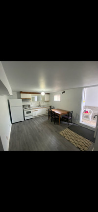 Central Mississauga sunny One bedroom basement apartment