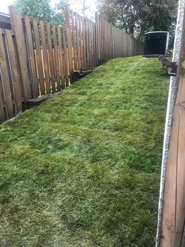 Lawn and Order - Landscaping63005662380547124