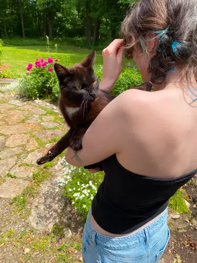 Friendly, full of character kitten in need of a home, View more