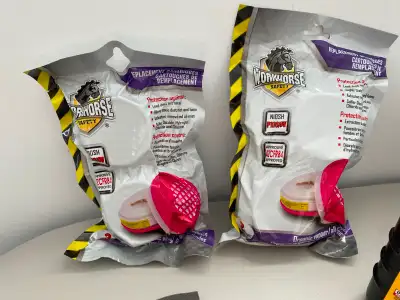 Workhorse Replacement Cartridges Asbestos and Lead (P100), View more