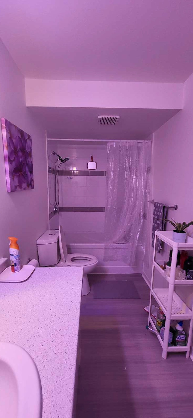 (Female) Private Room for Rent with All-Inclusive  dans Chambres à louer et colocs  à Ville d’Halifax - Image 4