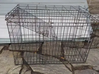Cage métal pour animaux divers, View more