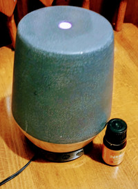 Essential oils warmer and 2 oils