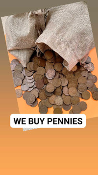 We will pick up your Pennies in GTA - info In description 
