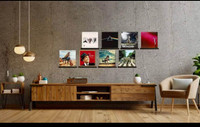 Vinyl Record Display Shelves 