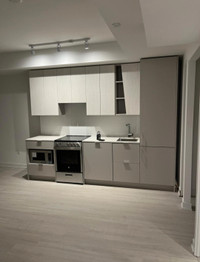 Brand New Spacisous 2 Bed/ 2 Bath Apartment Available For Rent
