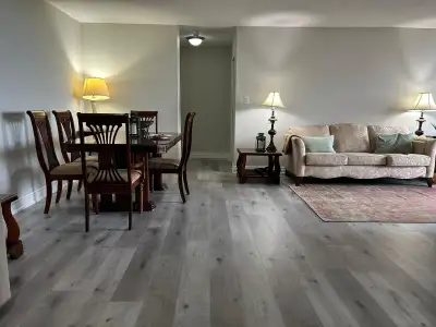 Room for rent ($1100) in three bedroom condo